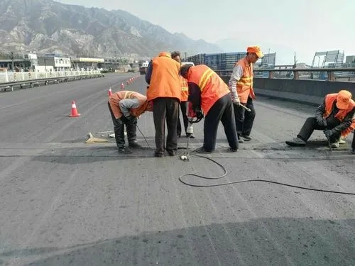 蜀山道路桥梁病害治理